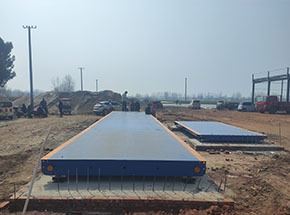 周口鹿邑縣雨欣種植合作社100噸地磅